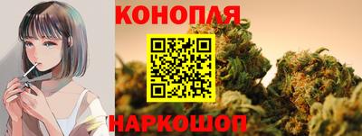 сатива Заводоуковск