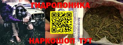 сатива Заводоуковск