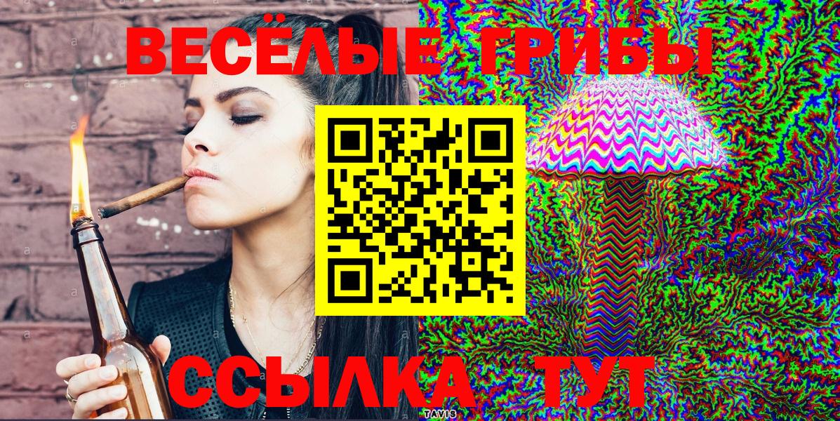 Галлюциногенные грибы Psilocybe Ликино-Дулёво