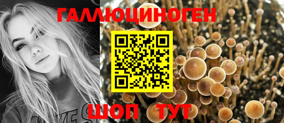 Галлюциногенные грибы GOLDEN TEACHER  Галлюциногенные грибы Magic Shrooms  Вход с VPN  Ликино-Дулёво 